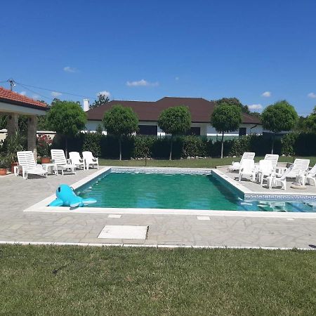 Vila Eleonora Beograd Luaran gambar